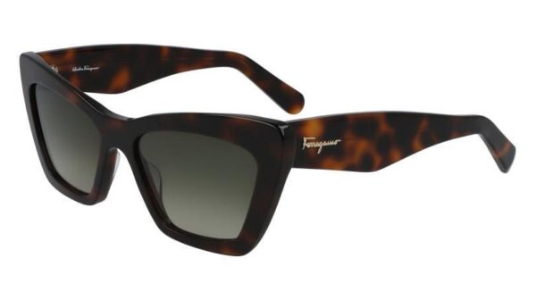 Salvatore Ferragamo SF929S-219-5517 55mm