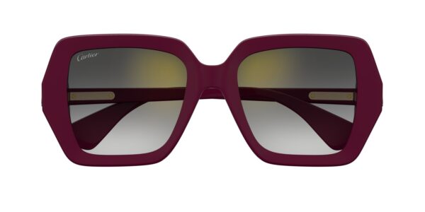 Cartier CT0507S-003 54mm - Image 3